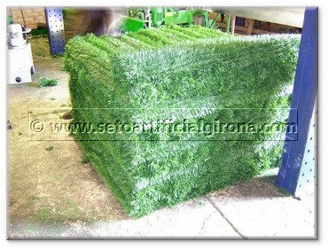 SETO ARTIFICIAL 100% EXCLUSIVE brinda una garantía de 6 años.